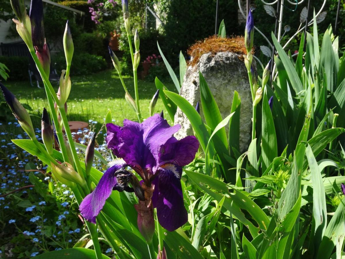 Le Coq Nientiedt Bed & Breakfast Rosrath Bagian luar foto